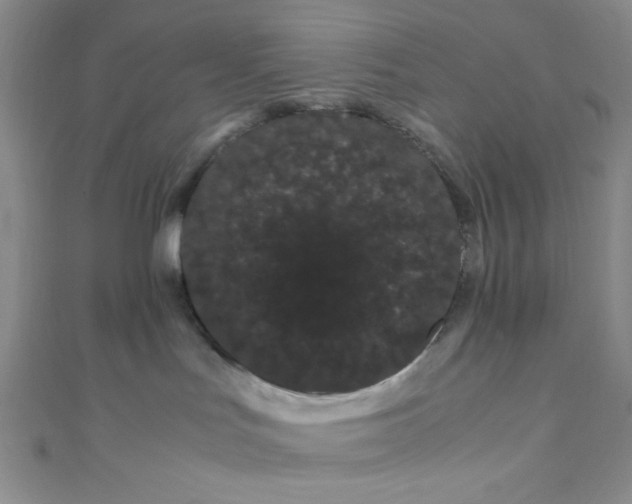 X0000108480047200904171620