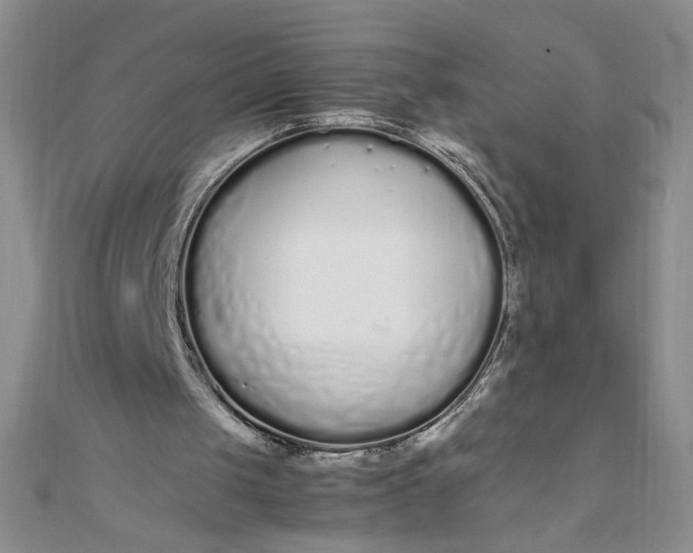 X0000108480049200904171620