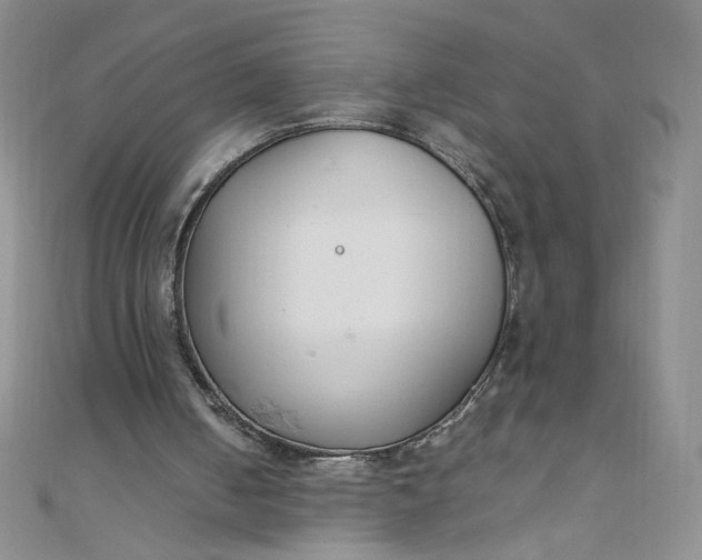 X0000108480050200904171620
