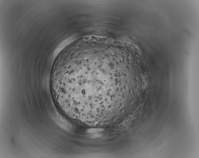 X0000108480051200904171620