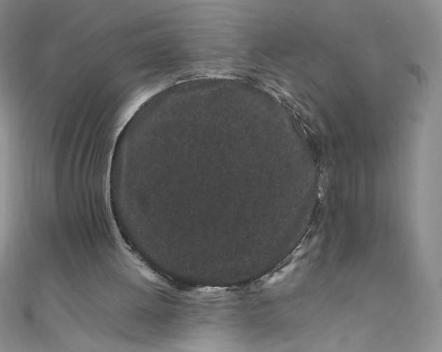 X0000108480052200904171620