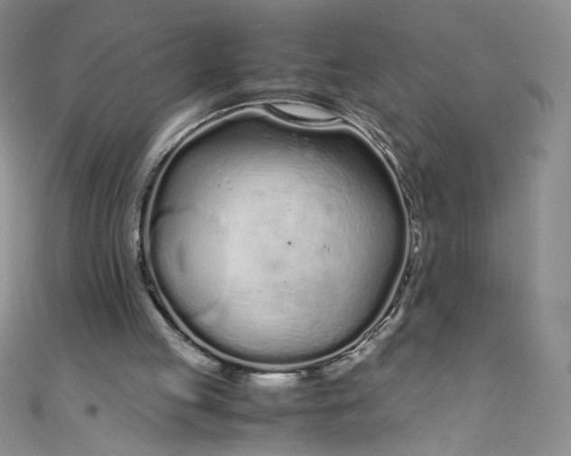 X0000108480053200904171620