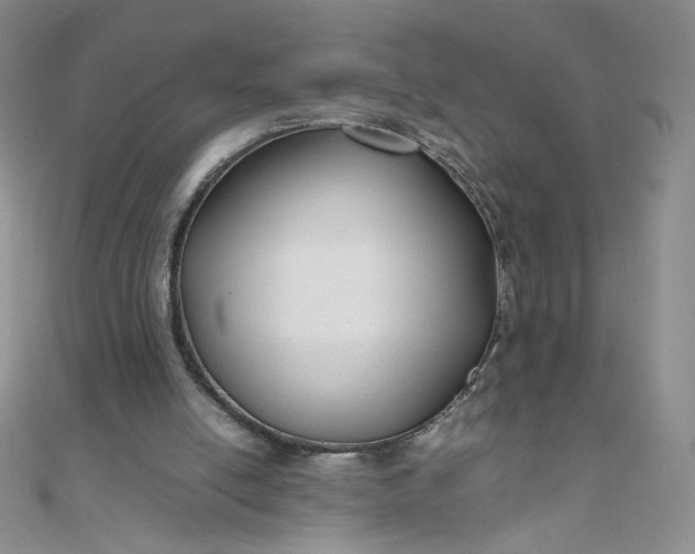 X0000108480054200904171620