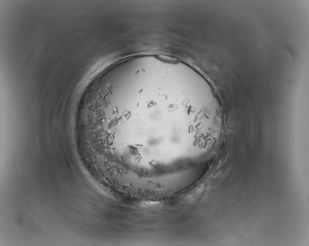 X0000108480055200904171620