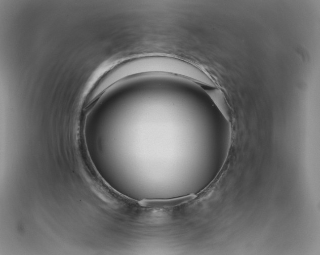 X0000108480056200904171620