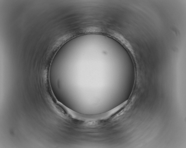 X0000108480057200904171620