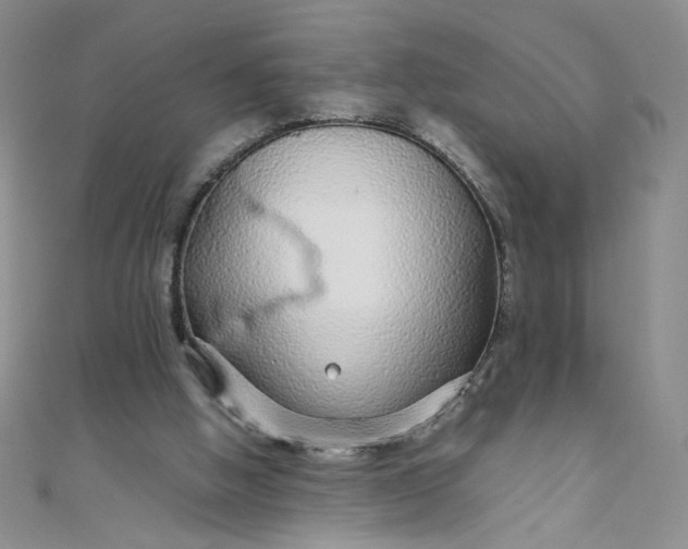 X0000108480058200904171620