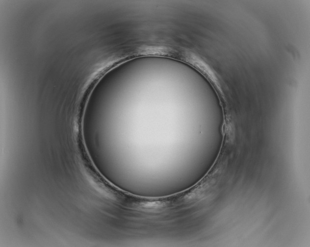 X0000108480059200904171620