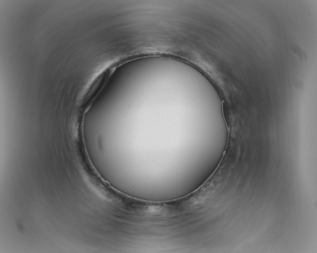 X0000108480060200904171620