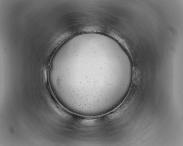X0000108480061200904171620