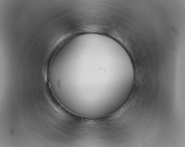 X0000108480062200904171620