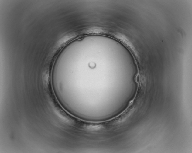 X0000108480063200904171620