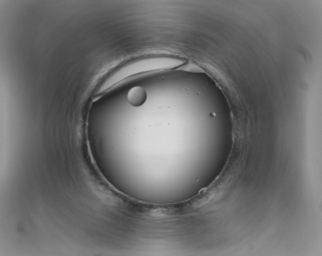 X0000108480064200904171620