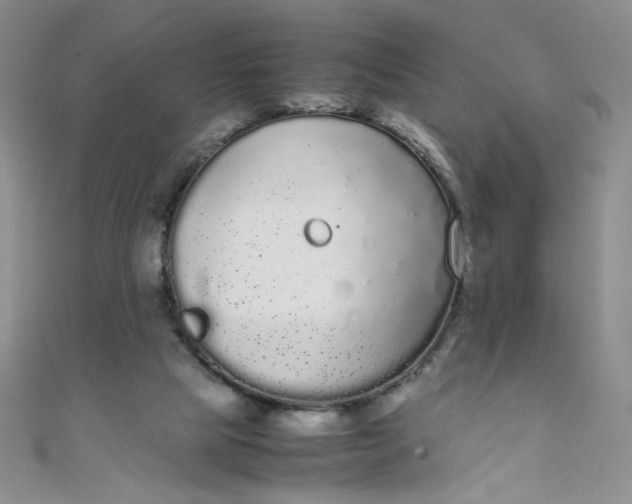 X0000108480065200904171620