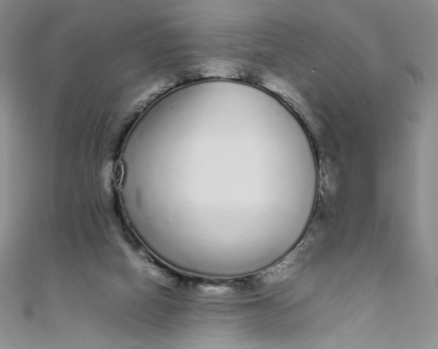 X0000108480066200904171620