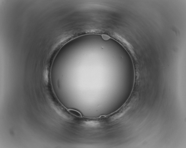 X0000108480067200904171620