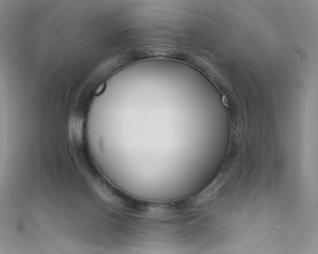 X0000108480070200904171620
