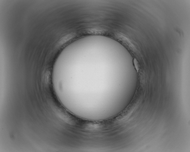 X0000108480071200904171620