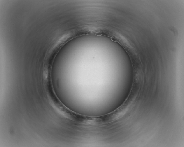 X0000108480072200904171620