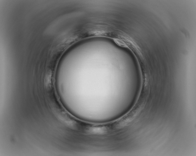 X0000108480073200904171620