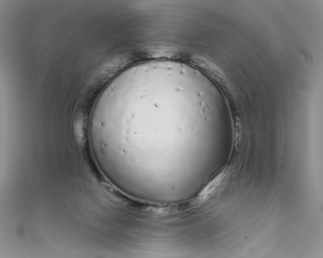 X0000108480074200904171620