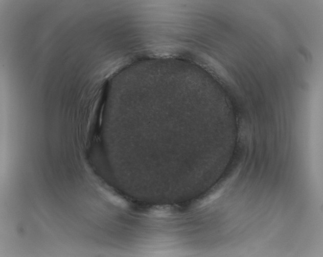 X0000108480076200904171620