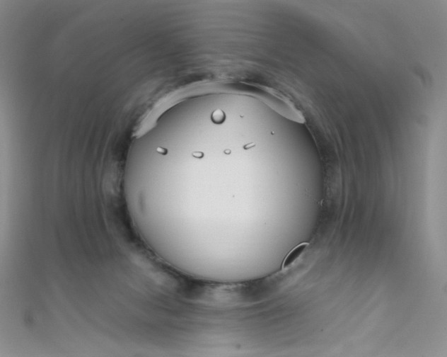 X0000108480078200904171620