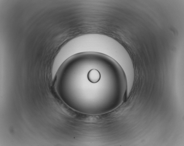 X0000108480080200904171620