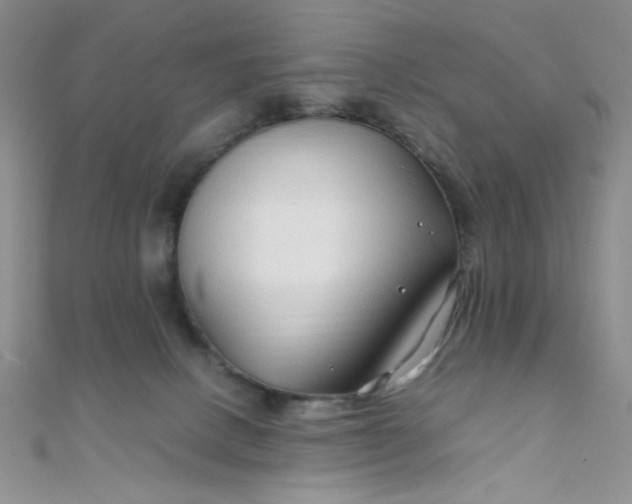 X0000108480082200904171620
