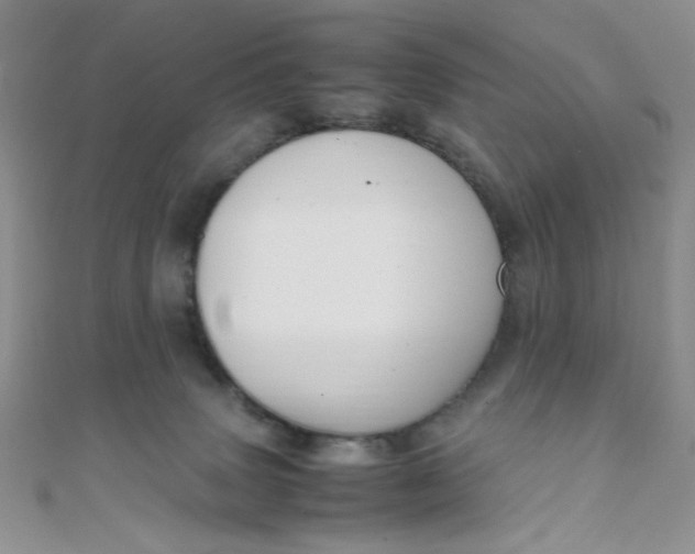 X0000108480083200904171620