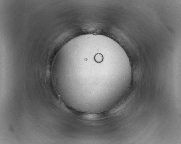 X0000108480085200904171620