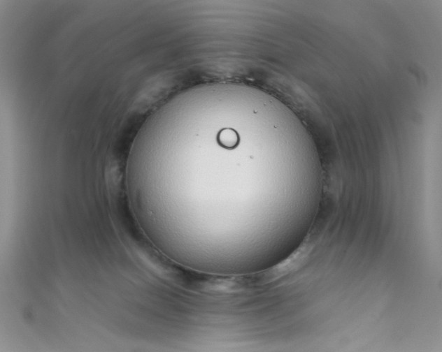 X0000108480086200904171620
