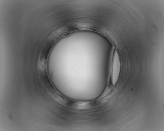 X0000108480093200904171620