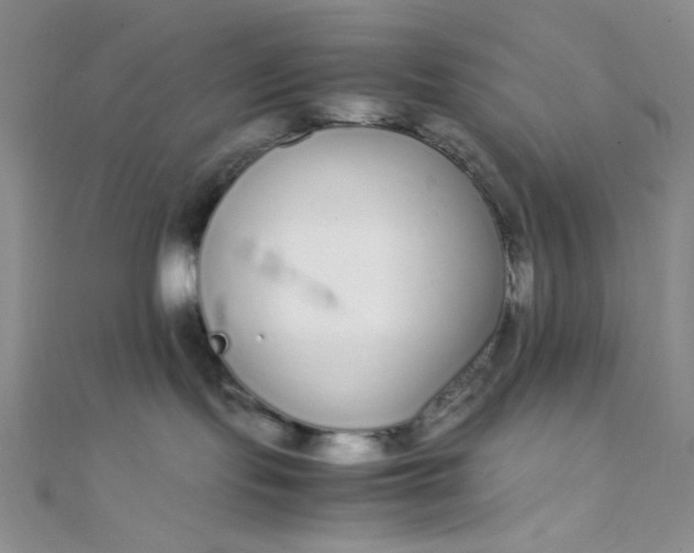 X0000108480095200904171620