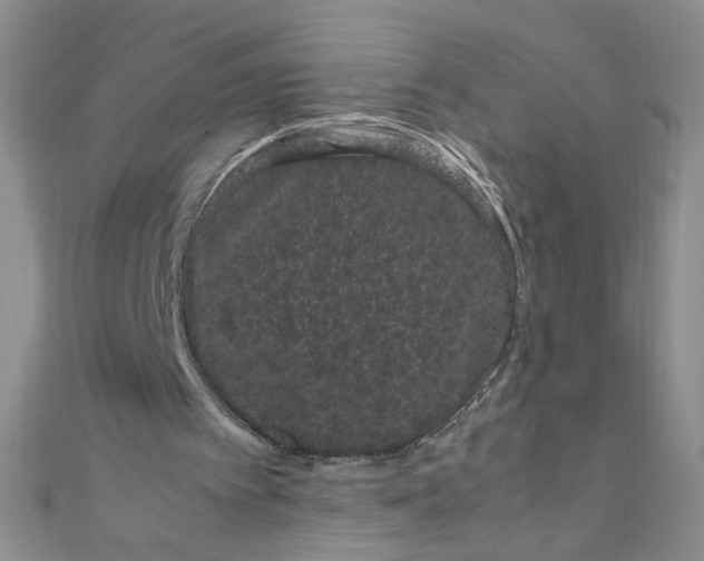X0000108480097200904171620