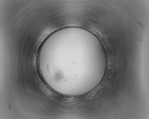 X0000108480098200904171620