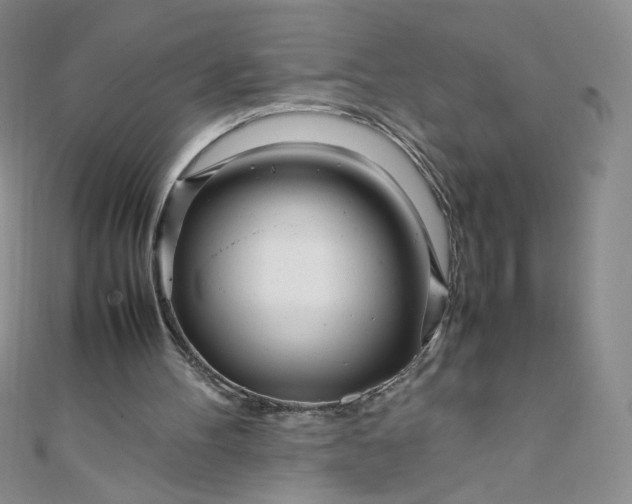 X0000108480100200904171620