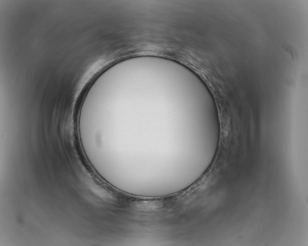 X0000108480102200904171620