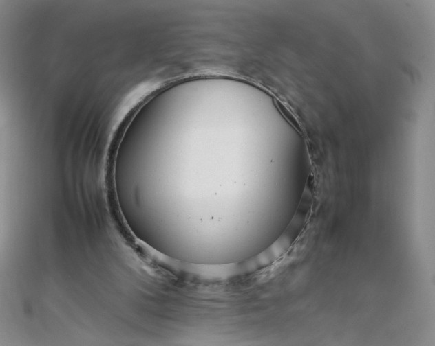 X0000108480104200904171620