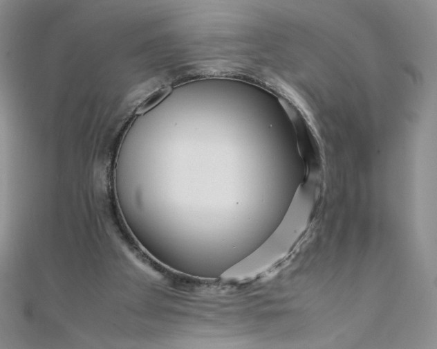 X0000108480105200904171619
