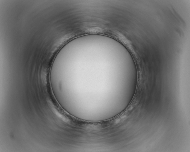 X0000108480106200904171619