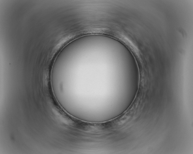 X0000108480107200904171619