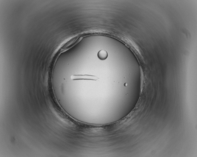 X0000108480108200904171619