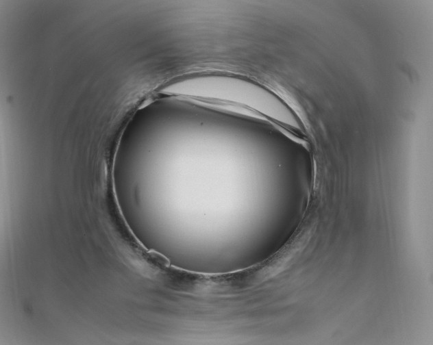 X0000108480109200904171619