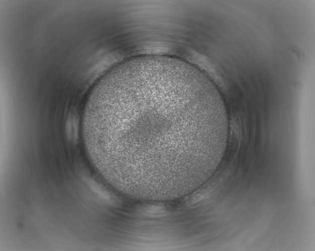 X0000108480110200904171619