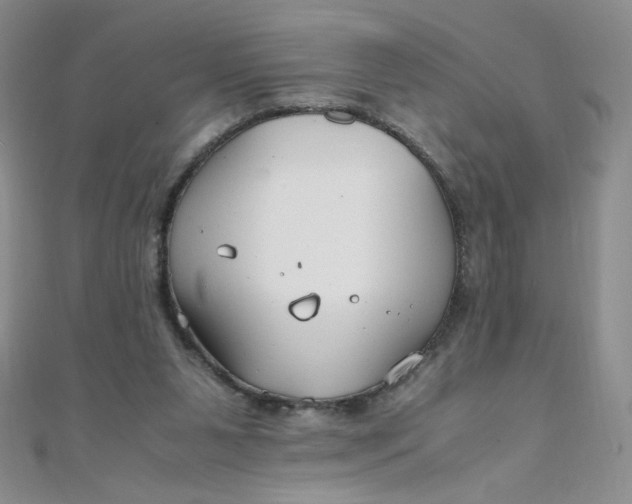 X0000108480111200904171619