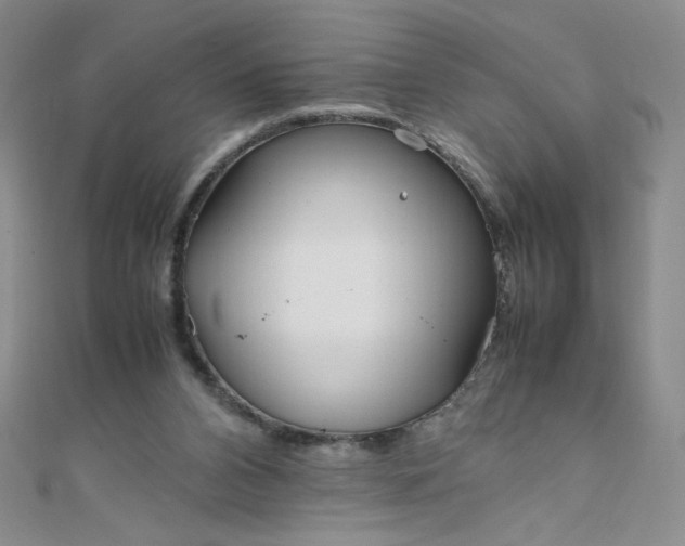 X0000108480112200904171619