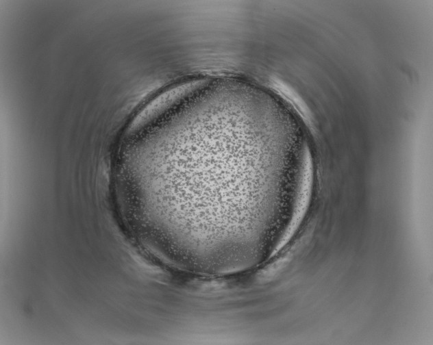 X0000108480113200904171619