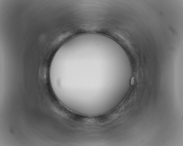 X0000108480115200904171619