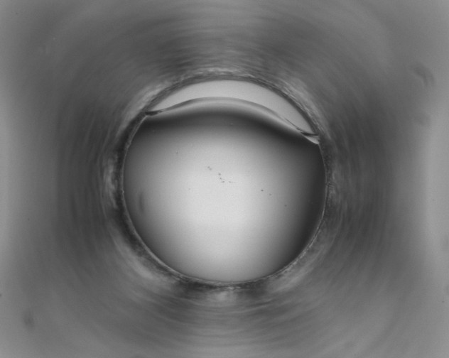 X0000108480116200904171619
